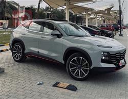 جيتور داشينج